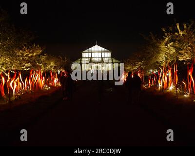 Cattails and Copper Birch Reeds, 2015, di Dale Chihuly, illuminano la passeggiata dei ciliegi ai Kew Gardens come parte della mostra Chihuly Nights, 2019 Foto Stock