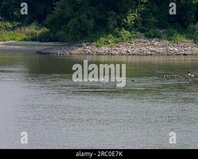 Oglesby, Illinois - 23 giugno 2023: Starved Rock State Park in Illinois con canyon naturali e cascate Foto Stock