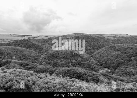 Vista dalla cima della Countisbury Hill della Watersmeet Valley nel Parco Nazionale di Exmoor Foto Stock