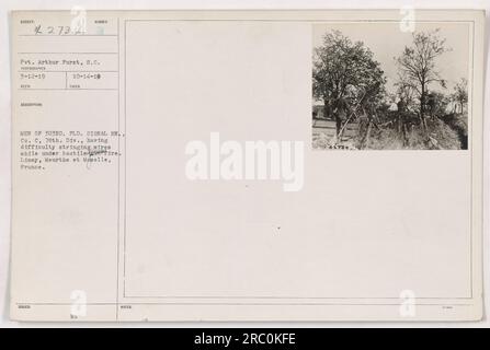 Pvt. Arthur Furst, S.C., in una fotografia scattata il 12 marzo 1919. La foto, numerata 111-SC-42734, mostra gli uomini del 303rd Pioneer Signal Battalion, Company C, 78th Division, che lottano per corde di cavi mentre venivano colpiti da forze ostili a Limey, Meurthe et Moselle, in Francia. Foto Stock