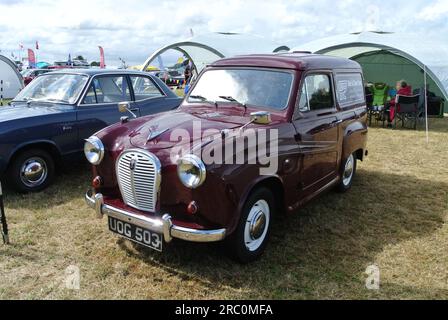 Un furgone Austin A35 del 1954 parcheggiato al 48th Historic Vehicle Gathering, Powderham, Devon, Inghilterra, Regno Unito. Foto Stock