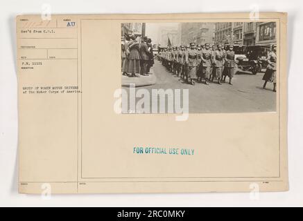 Un gruppo di donne guidatrici del Motor Corps of America durante la prima guerra mondiale. La foto, etichettata come 11121, è stata ricevuta dal fotografo C.P.I. ed è destinata esclusivamente all'uso ufficiale. L'immagine mostra una chiara rappresentazione delle donne che prestano servizio come conducenti durante la guerra, evidenziando il loro contributo agli sforzi militari. Foto Stock