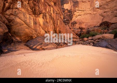 Immersi nella bellezza del deserto, le pareti del canyon arenaria arancione e gli affascinanti astratti di roccia creano un paesaggio affascinante a Guelta d'Archei Foto Stock