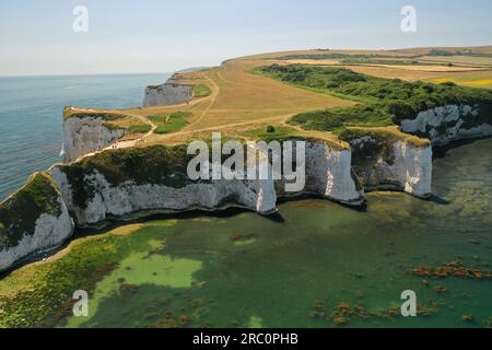 Ammira le viste mozzafiato dei droni aerei della costa giurassica e le formazioni rocciose uniche su questa formazione geologica di calcare Old Harry Rocks Foto Stock