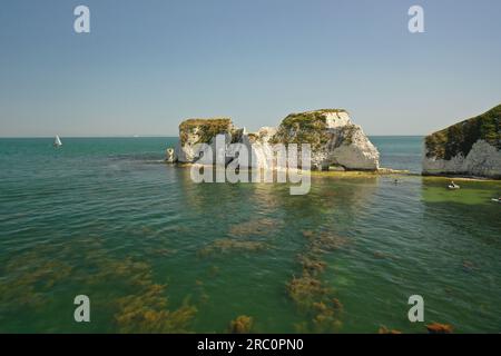 Ammira le viste mozzafiato dei droni aerei della costa giurassica e le formazioni rocciose uniche su questa formazione geologica di calcare Old Harry Rocks Foto Stock