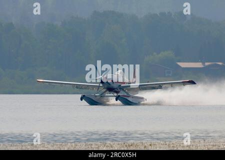 Smithers BC.- 09 luglio 2023 - uno dei numerosi aeroplani , un trattore aereo AL 802 che combatte gli incendi boschivi vicino a Smithers che raccoglie acqua dal lago Tyhee. Foto Stock