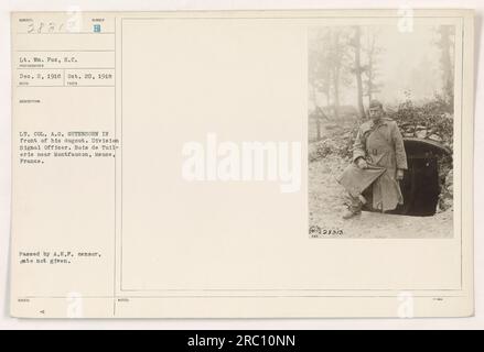 Tenente colonnello A.G. Gutenson, ufficiale della Divisione Signal, visto di fronte al suo pugout a Bois de Tuil-erie vicino a Montfaucon, Mosa, Francia. La foto è stata scattata il 20 ottobre 1918 dal tenente WM. Fox, S.C.. L'immagine fa parte della raccolta denominata 111-SC-28313. Le informazioni relative alla didascalia e i dettagli aggiuntivi non sono forniti. Foto Stock