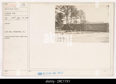 Soldati che ricevono cure nel reparto di convalescenza del base Hospital a Camp Lee, Petersburg, Virginia. La fotografia è stata scattata nell'ottobre 1918 da RTCO Johnson Haas e ricevuta da C.P.I. L'immagine è etichettata come 41894 e contrassegnata come "solo per uso ufficiale". Foto Stock