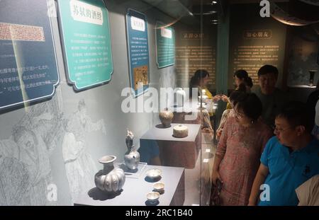 HANGZHOU, CINA - 12 LUGLIO 2023 - i visitatori possono ammirare le squisite reliquie culturali legate al sushi presso il Museo del forno Guan della Dinastia Song meridionale di Hangzhou, Foto Stock