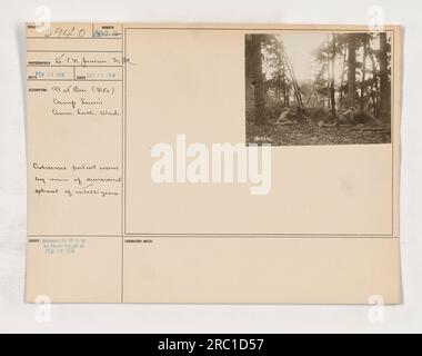 Soldati della scuola di intelligence divisionale che conducono una pattuglia avanzata ad Ames di Camp Levi, Washington. La foto è stata scattata il 28 gennaio 1918 dal fotografo SV. P.N. Jansen. È stato pubblicato da W. O. D. per Photo Div., 8. a. il 12 febbraio 1918. Foto Stock