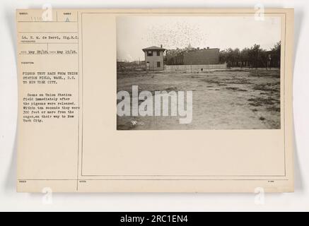 Tenente E. M. de Berri che rilascia piccioni a casa al campo Union Station a Washington, D.C. La foto, scattata il 19 maggio 1918, cattura i piccioni pochi secondi dopo essere stati rilasciati. I piccioni volarono rapidamente a oltre 300 metri di distanza dalle loro gabbie, iniziando il loro viaggio verso New York City per una gara di test dei piccioni. Foto Stock