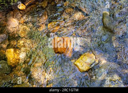Un ruscello di montagna poco profondo bagna acqua cristallina su rocce colorate. Foto Stock