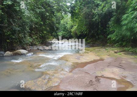 fiume in montagna. meraviglioso scenario primaverile della campagna dei carpazi. acqua verde azzurra tra foresta e costa rocciosa. recinzione di legno sul fiume Foto Stock