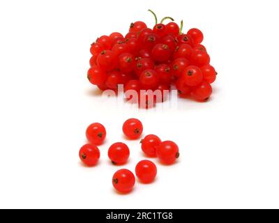 Qualche ribes Foto Stock