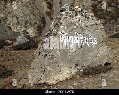 Pietra con iscrizione, area di conservazione dell'Annapurna Foto Stock