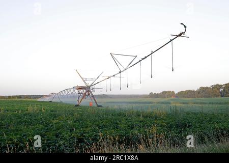 Irrigazione dei campi, sistema di irrigazione, campo, campo di patate, Melbeck, Samtgemeinde Ilmenau, bassa Sassonia, Germania Foto Stock