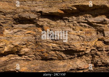 Roccia sedimentaria, Valle de Luna, El Gusano, riserva naturale Ischigualasto, Valle della Luna, Provincia di San Juan, Argentina Foto Stock
