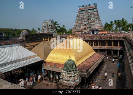 Chit Ambalam con piastrelle dorate e torre occidentale del tempio Thillai Nataraja, uno dei cinque Pancha Bootha Sthalams a Chidambaram, Tamil Nadu, India meridionale Foto Stock