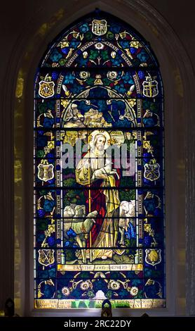 Vetrata colorata in St. Stephens Church (1830 d.C.) a Ooty Udhagamandalam, Nilgiris, Tamil Nadu, India meridionale, Asia. Io sono il buon Pastore Foto Stock