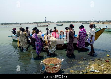 Peschereccio, il lago Pulicat è la seconda laguna di acqua salmastra più grande dell'India. Sulla costa del Coromandal a Pulicat Pazhaverkadu, Tamil Nadu Foto Stock