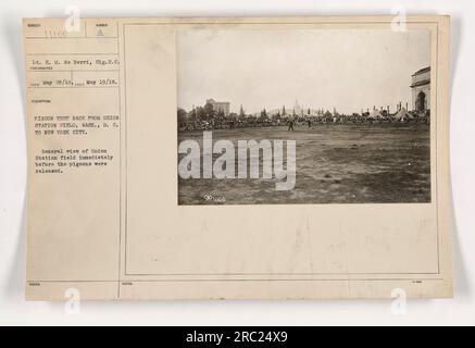 Una fotografia che mostra il tenente E. M. de Berri del Signal Regiment Corps, scattata il 28 maggio 1918. L'immagine cattura la corsa ai piccioni da Union Station Field a Washington, D.C. a New York. La foto raffigura una vista generale dell'Union Station Field poco prima che i piccioni fossero rilasciati. Foto Stock