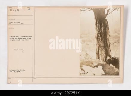 "Fotografia di un camuffamento di ascolto costruito da un tronco d'albero durante la prima guerra mondiale. La vista frontale mostra una struttura che si estende dal lato destro del tronco dell'albero. La foto è stata scattata il 2 gennaio 1918 e ricevuta da assuto. È stato pubblicato su C.P.I. il 2 febbraio 1918 e ha la notazione 81988." Foto Stock