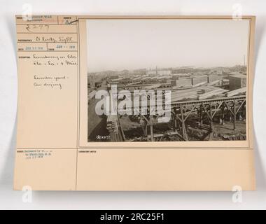 In questa immagine è mostrato un deposito di legname in Alabama, Florida, Louisiana e Mississippi. Il legname viene essiccato all'aria come parte dell'industria del legname durante la prima guerra mondiale Questa foto è stata scattata nel gennaio 1918 e pubblicata dalla Photo Division. Foto Stock