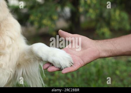 Uomo che tiene la zampa del cane nel parco, primo piano Foto Stock