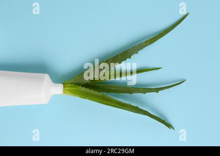 Tubo di dentifricio e aloe fresca su sfondo azzurro, vista dall'alto Foto Stock