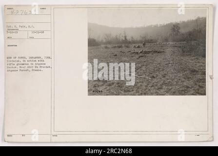 CPL. K. Polk ha catturato questa fotografia il 3-12-19 durante la prima guerra mondiale. L'immagine mostra uomini della 308th Infantry, 77th Division, impegnati in combattimento con granate di fucile nel settore Argonne vicino Abri Du Crochet, Argonne Forest, Francia. Foto Stock