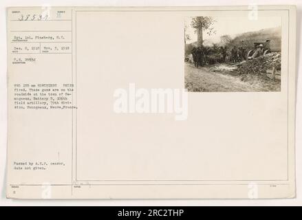 Due obici da 155 mm sparati a Semogneux, Meuse, Francia. Questa foto è stata scattata il 3 novembre 1918 da Sgt. S.C. Fineberg. I cannoni appartengono alla batteria B, 106th Field Artillery, 79th Division. L'immagine è stata approvata dalla censura dell'A.E.F. tuttavia, la data esatta è sconosciuta. Foto Stock