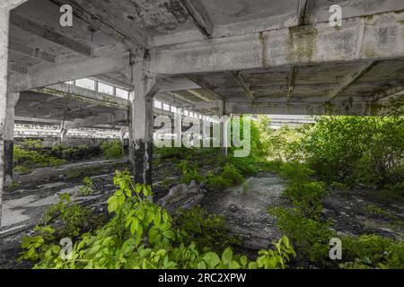 Interni di edifici industriali abbandonati. Vecchio edificio abbandonato in rovina Foto Stock