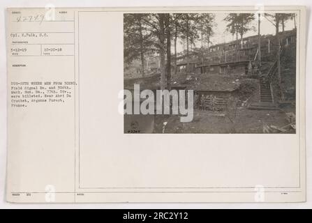 CPL. K. Polk, un soldato della 77th Division, scatta fotografie di scavi in cui gli uomini del 302nd Field Signal Battalion e del 304th Machine Gun Battalion erano alloggiati vicino ad Abri Du Crochet nella foresta di Argonne, in Francia. Immagine scattata il 12 marzo 1919. Foto Stock