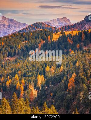 A 2000 metri di altitudine, la vista sul Passo delle Erbe, Würzjoch circondato da boschi e da lussureggianti colori autunnali, è mozzafiato. Il pa Foto Stock