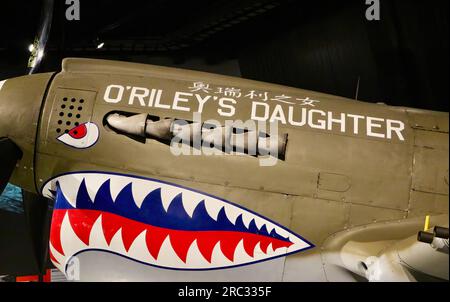 Curtiss P-40N Warhawk aereo da caccia Flying Tiger dell'Aeronautica militare americana Museum of Flight Seattle Washington State USA Foto Stock