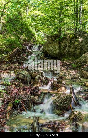 Serie di cascate con pietra e alberi sullo sfondo nella gola di Horne Diery nelle montagne di Mala Fatra in Slovacchia Foto Stock