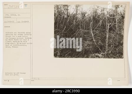 La fanteria americana e tedesca si impegnò in una battaglia di una settimana tra le Cheve Tandu e Pont A l'Aune, nell'area di Bois de la Bois D'Apremont, 32 km a nord-ovest di Montblainville, Mosa, Francia. La foto mostra le numerose trincee e e i boschetti utilizzati da entrambi i lati durante il conflitto. La data esatta del rilascio censurato non viene fornita. Foto Stock