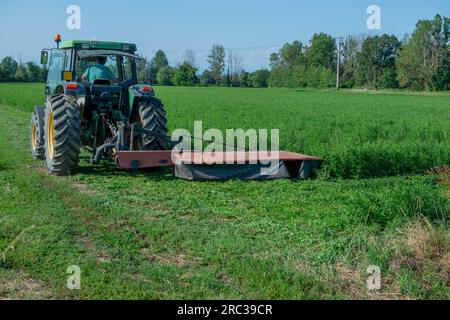 Trattore mentre taglia l'erba nei campi Foto Stock