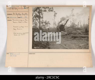 "Legname in Alabama, Florida, Louisiana e Mississippi - caricamento di tronchi su un treno di tronchi per la costruzione di case portatili per le American Expeditionary Forces. Questa fotografia, numerata 111-SC-2312, è stata catturata nel gennaio 1918 come parte della documentazione dell'industria e delle attività belliche durante la prima guerra mondiale." Foto Stock