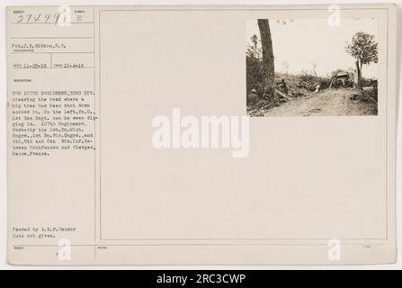 I membri del 107th Engineers, 32nd Division, sono visti sgombrare una strada bloccata da un albero caduto che è stato abbattuto durante la prima guerra mondiale Sul lato sinistro dell'immagine, si possono osservare i soldati del Co.D., 1st gas Regiment, scavare. Il 107th Engineers consisteva di soldati della 1st EN. MIC. Engrs., 1° BN. Wisp. Engrs. E 4th, 5th e 6th Wis.Inf. La posizione dell'immagine è tra Montfaucon e Cierges, Mosa, Francia. La data della foto è sconosciuta. Questa immagine è stata passata dall'A.E.F. Censor. Foto Stock