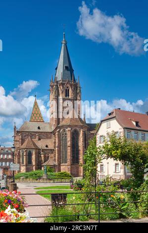 Chiesa Collegiata dei Santi Pietro e Paolo, Wissembourg, Alsazia, Francia, Europa Foto Stock