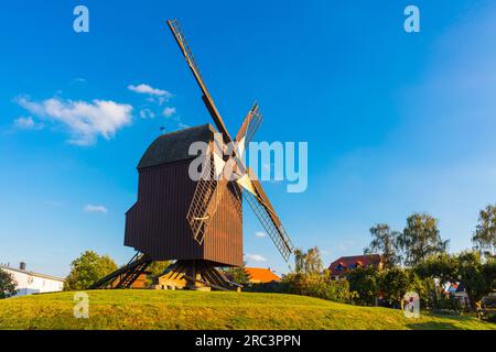 Mulino a vento Eldena Post, vicino al villaggio di Wieck, Greifswald, Meclemburgo-Vorpommern, Germania Foto Stock