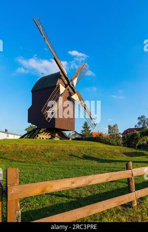 Mulino a vento Eldena Post, vicino al villaggio di Wieck, Greifswald, Meclemburgo-Vorpommern, Germania Foto Stock