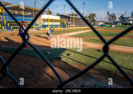 San Diego, Stati Uniti. 15 giugno 2023. I catcher per la squadra di partenza della Tijuana Little League si allenano per il torneo nazionale messicano, il vincitore di With va alla Little League World Series, 15 giugno 2023. (Matthew Bowler/KPBS/Sipa USA) **NESSUNA VENDITA A SAN DIEGO-SAN DIEGO OUT** credito: SIPA USA/Alamy Live News Foto Stock