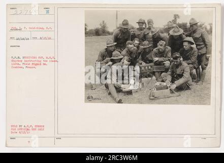 116° segnale di campo BN. Soldati che ricevono istruzioni dal M.S.E. Sharkey, con un informatore T.P.B. Set di ricezione, tenuto da A.E.P. Censura solo per uso ufficiale. Fotografia scattata il 10 agosto 1918 a Couddes, Francia. Foto di P. Goldshlag, pubblicata il 18 ottobre 1918. Foto Stock