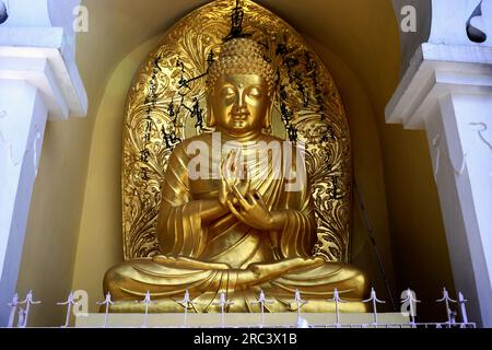 golden Goutam Buddha Foto Stock