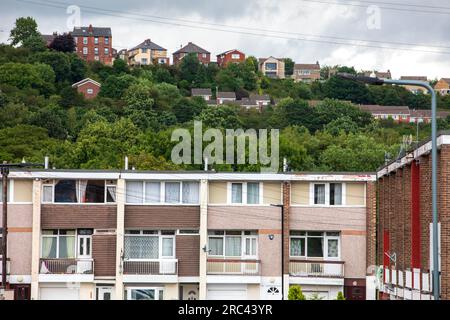 Winn Gardens Estate, Sheffield. Foto Stock