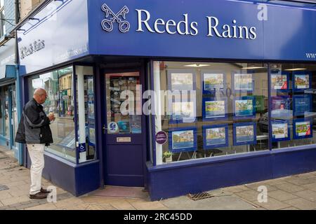 Reeds and Rains Estate Agents a Hillsborough, Sheffield. Foto Stock