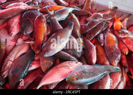 Mercato del pesce della Guadalupa a Pointe a Pitre, la più grande città della Guadalupa. Orata di mare e wrasse. Foto Stock