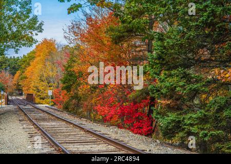 Colore autunnale a Mount Desert Island nel Maine. Foto Stock